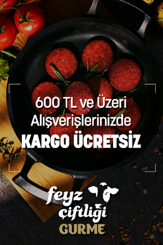 kargo-mobil