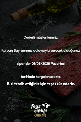kargo-mobil